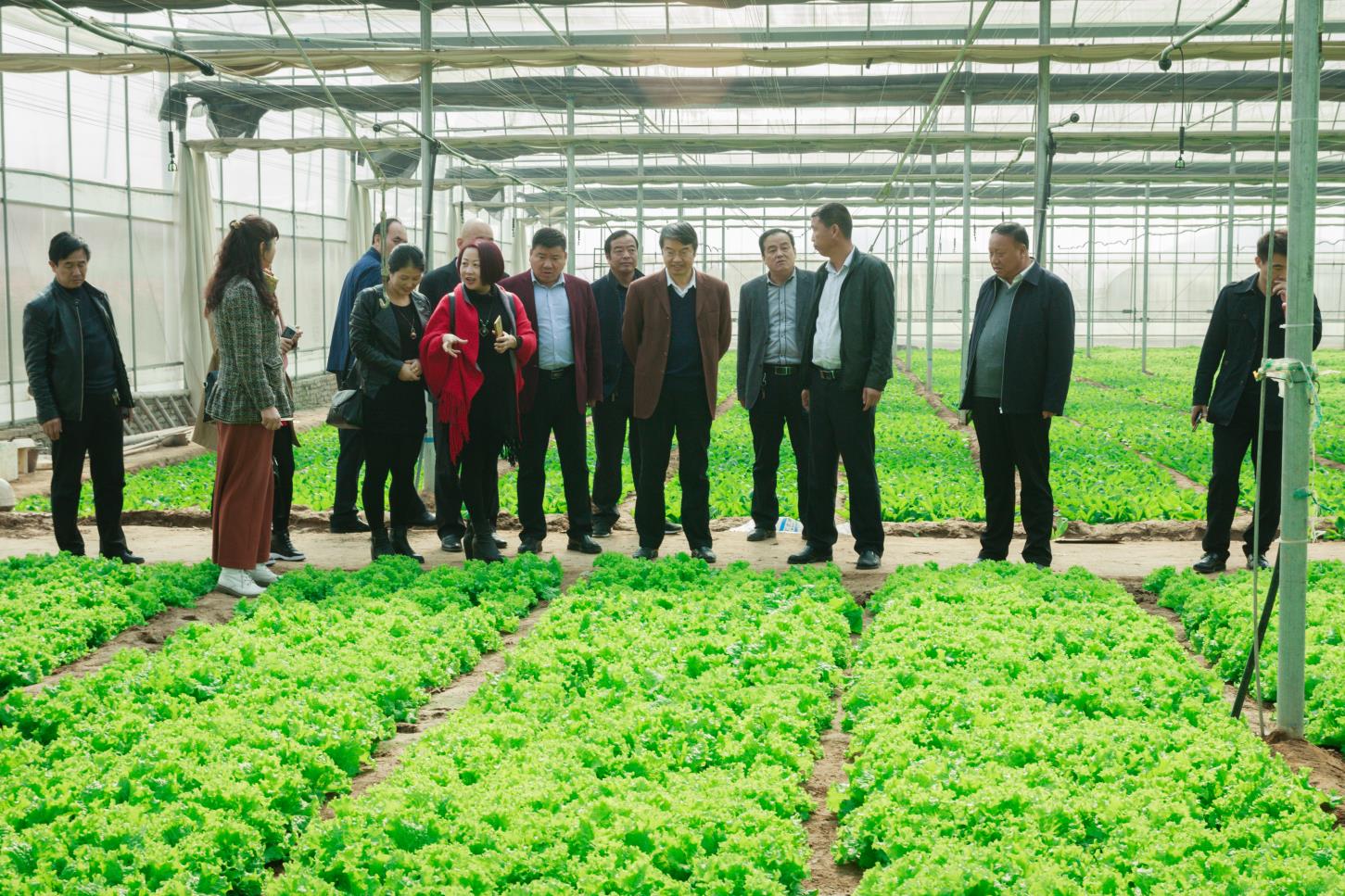 農(nóng)業(yè)園 (21).jpg